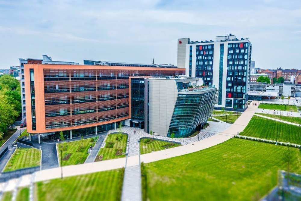 Untitled design (32)