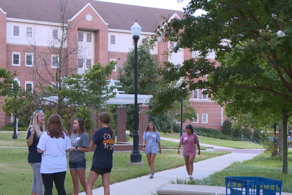 Untitled design (73)