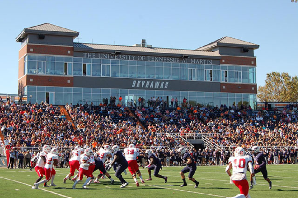 Untitled design (74)