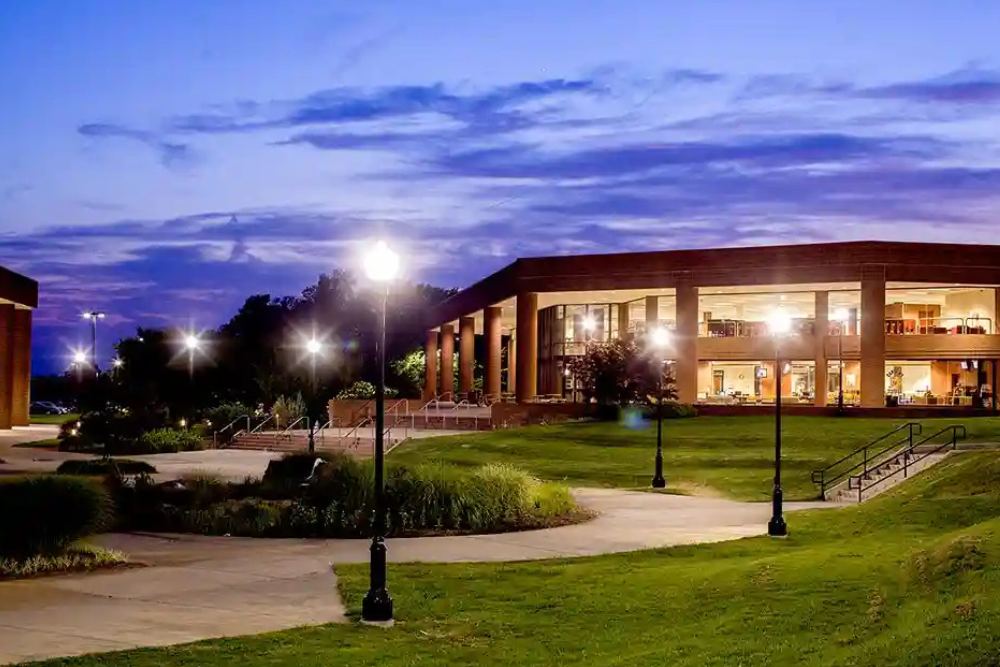 Untitled design (76)