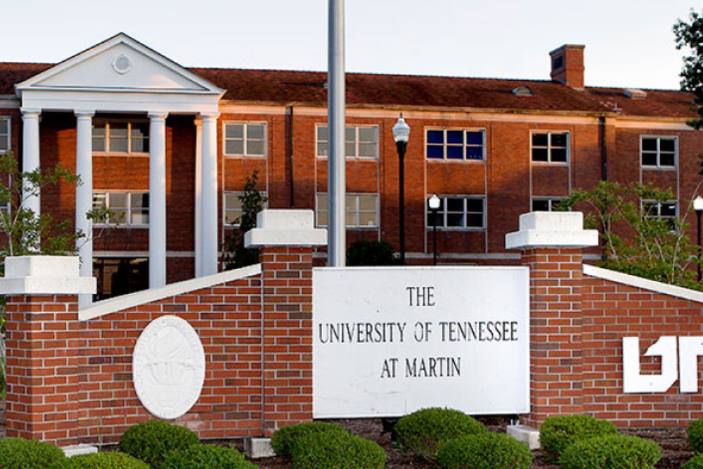 Untitled design (77)