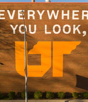 UTHSC-Mural_005-web