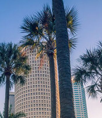 tampa-video